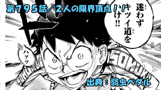 弱虫ペダル ネタバレ感想 795話 「２人の限界頂点！！」坂道を奮い立たせる手嶋の金言！